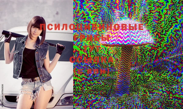 метадон Беломорск
