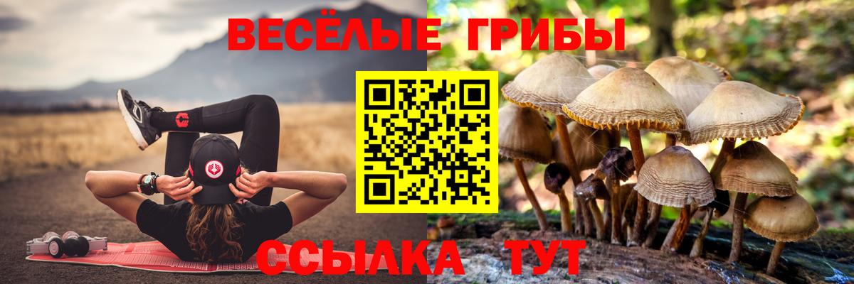 Псилоцибиновые грибы MAGIC MUSHROOMS  Псилоцибиновые грибы ЛСД  Вход с VPN  Верхний Уфалей 